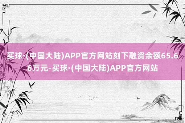 买球·(中国大陆)APP官方网站刻下融资余额65.66万元-买球·(中国大陆)APP官方网站