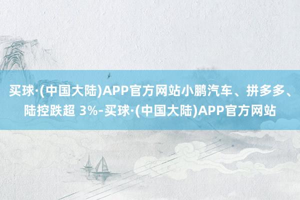 买球·(中国大陆)APP官方网站小鹏汽车、拼多多、陆控跌超 3%-买球·(中国大陆)APP官方网站