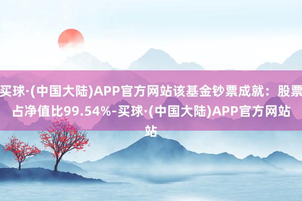 买球·(中国大陆)APP官方网站该基金钞票成就：股票占净值比99.54%-买球·(中国大陆)APP官方网站