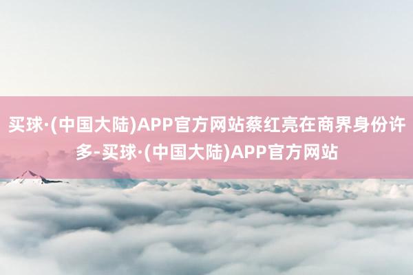 买球·(中国大陆)APP官方网站蔡红亮在商界身份许多-买球·(中国大陆)APP官方网站