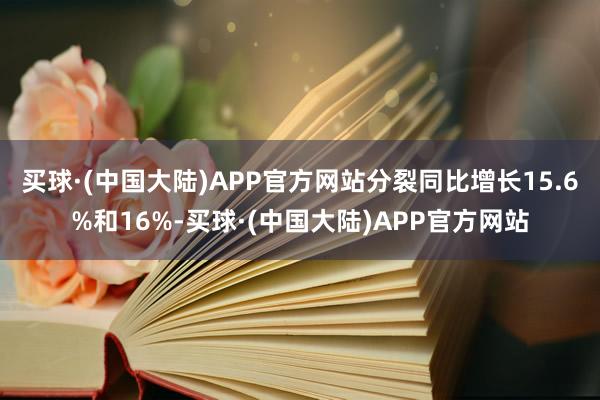 买球·(中国大陆)APP官方网站分裂同比增长15.6%和16%-买球·(中国大陆)APP官方网站