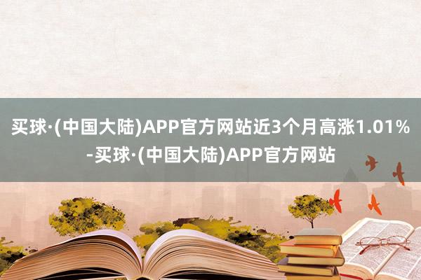 买球·(中国大陆)APP官方网站近3个月高涨1.01%-买球·(中国大陆)APP官方网站